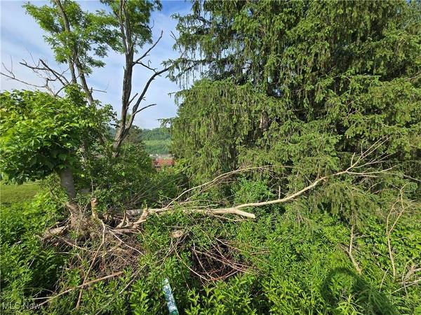 55560 Poplar AVE, Bridgeport, OH 43912