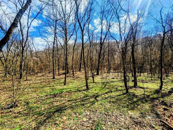 Kings Creek RD, Weirton, WV 26062