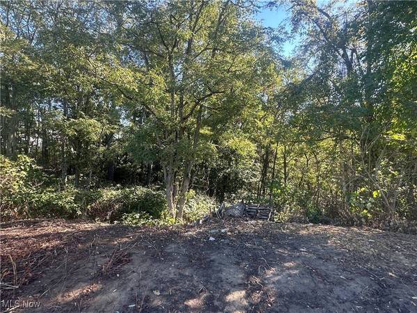 201 Morgantown AVE, Barnesville, OH 43713