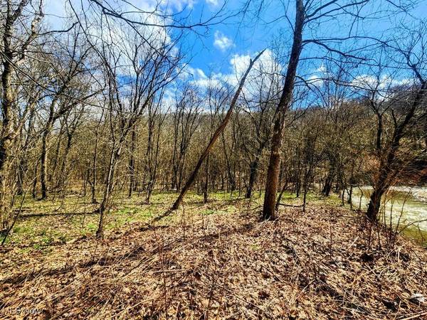 Kings Creek RD, Weirton, WV 26062