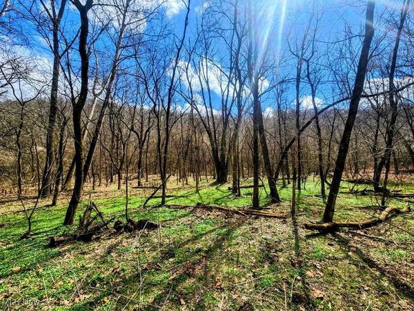 Kings Creek RD, Weirton, WV 26062