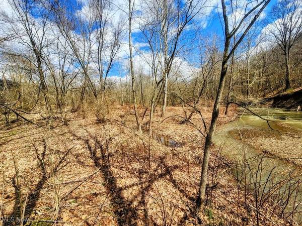 Kings Creek RD, Weirton, WV 26062