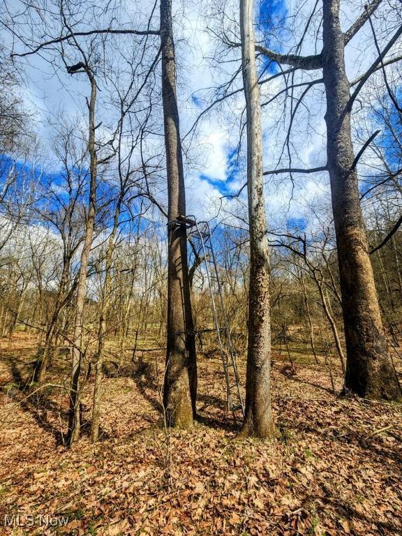 Kings Creek RD, Weirton, WV 26062