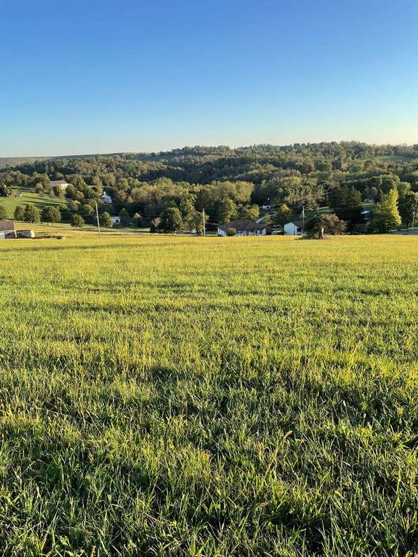 0 Stenger Drive- Lot 4 & N 1/2 Lot 6, Wheeling, WV 26003