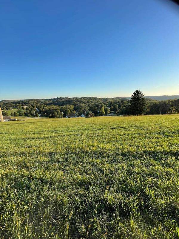 0 Stenger Drive- Lot 4 & N 1/2 Lot 6, Wheeling, WV 26003