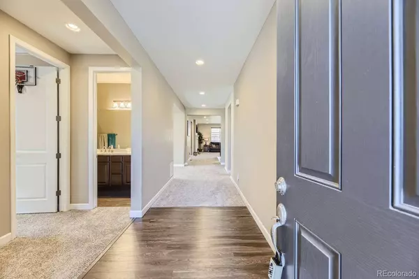 6673 Mentha DR, Castle Rock, CO 80108