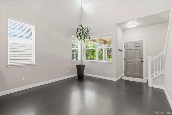 3583 Brushwood DR, Castle Rock, CO 80109