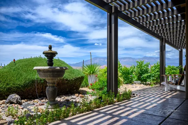 Why Chardonnay Thrives Here in Southern Utah