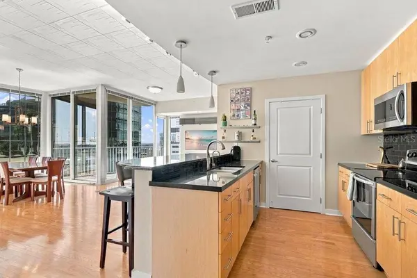 155 S COURT AVE #1102, Orlando, FL 32801