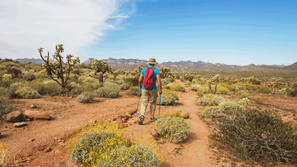 Best Hiking Trails in Phoenix Now That It's Cool Enough,Brian Eastwood