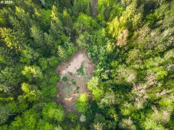 30606 BUTTERFLY LN, Eugene, OR 97405