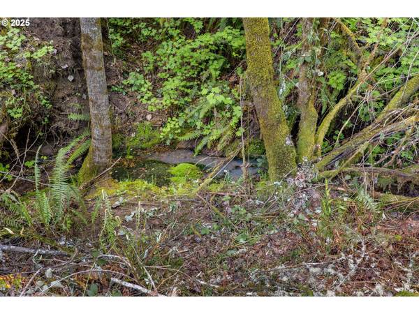 30606 BUTTERFLY LN, Eugene, OR 97405