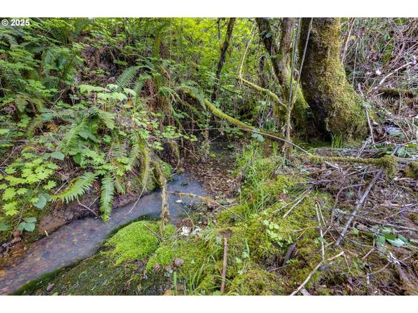 30606 BUTTERFLY LN, Eugene, OR 97405