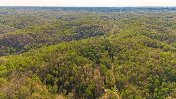600 Leath Chapel Rd, Bethpage, TN 37022