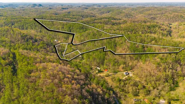 590 Leath Chapel Rd, Bethpage, TN 37022