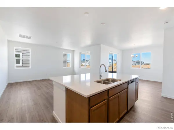 1454 Boyle ST, Windsor, CO 80550