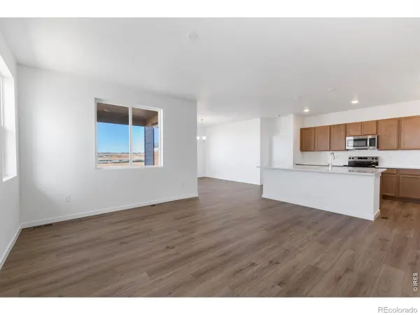 1454 Boyle ST, Windsor, CO 80550