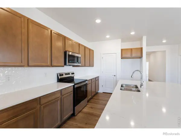 1454 Boyle ST, Windsor, CO 80550