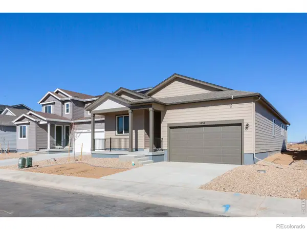1454 Boyle ST, Windsor, CO 80550