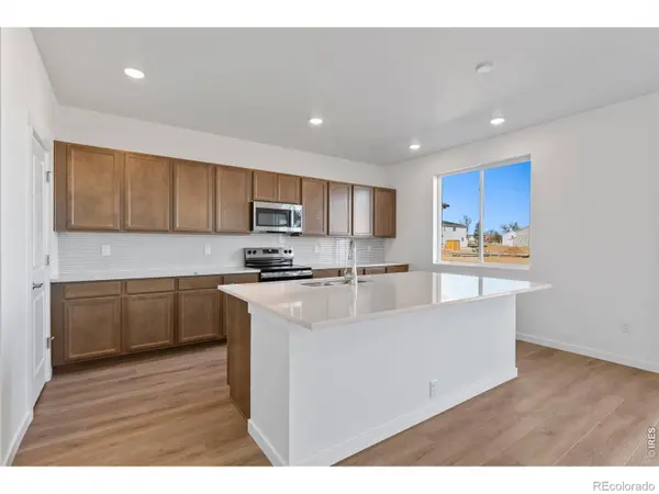 1448 Boyle ST, Windsor, CO 80550