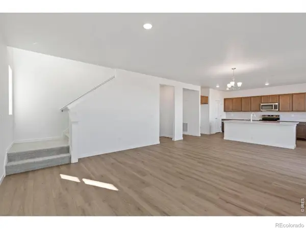 1448 Boyle ST, Windsor, CO 80550