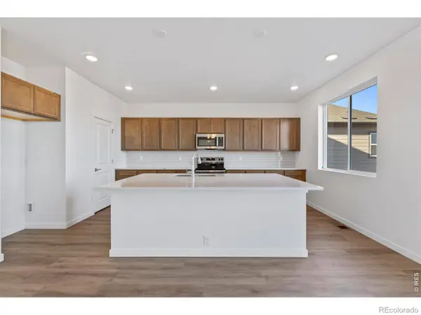 1448 Boyle ST, Windsor, CO 80550