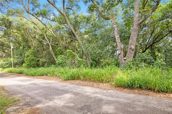 AVALON RD, Winter Garden, FL 34787