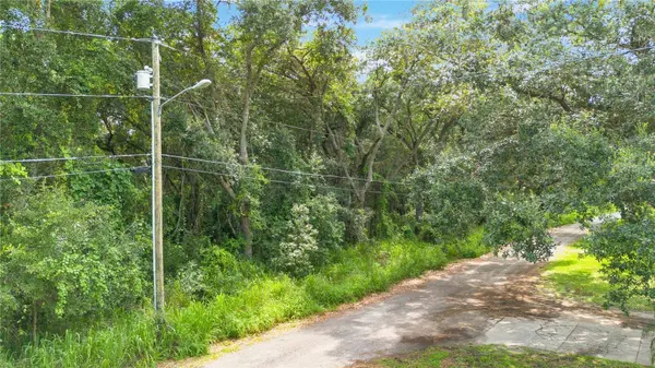 AVALON RD, Winter Garden, FL 34787