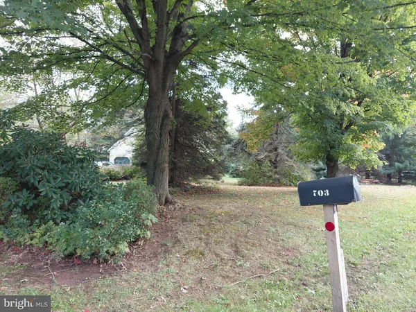 703 BROAD ST, Perkasie, PA 18944