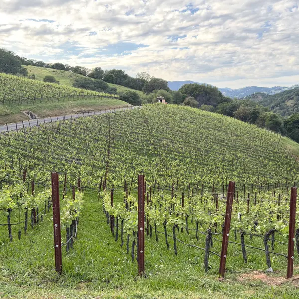 3165 Wooden Valley Rd, Napa, CA 94558-9399