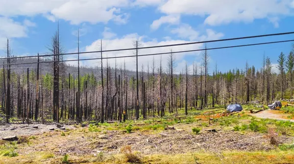 10020 Grizzly Flat RD, Grizzly Flats, CA 95636