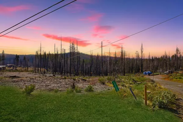 10020 Grizzly Flat RD, Grizzly Flats, CA 95636