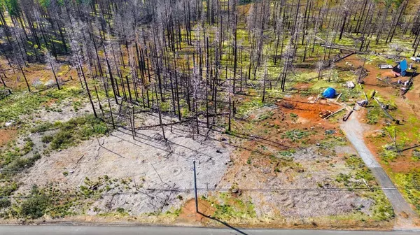 10020 Grizzly Flat RD, Grizzly Flats, CA 95636