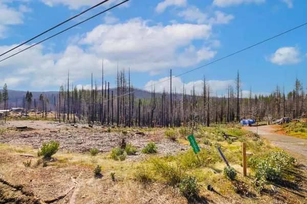 10020 Grizzly Flat RD, Grizzly Flats, CA 95636