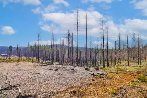 10020 Grizzly Flat RD, Grizzly Flats, CA 95636