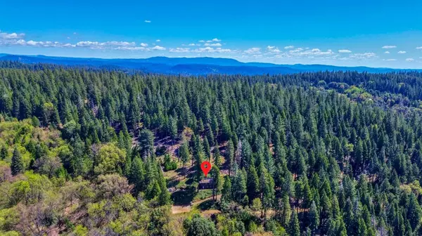 26601 High Trees DR, Pioneer, CA 95666