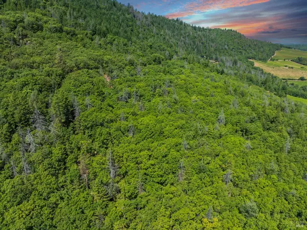 9600 Seigler Springs North RD, Kelseyville, CA 95451