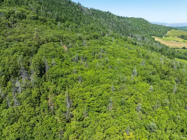 9600 Seigler Springs North RD, Kelseyville, CA 95451