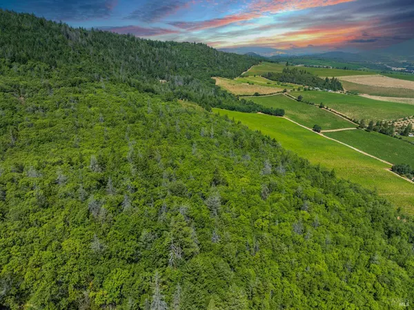 9600 Seigler Springs North RD, Kelseyville, CA 95451