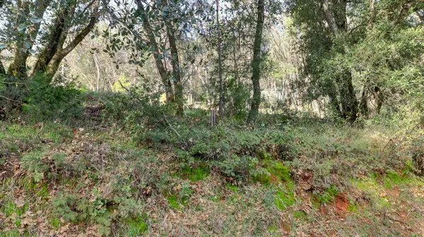 16202 Annie DR, Grass Valley, CA 95949