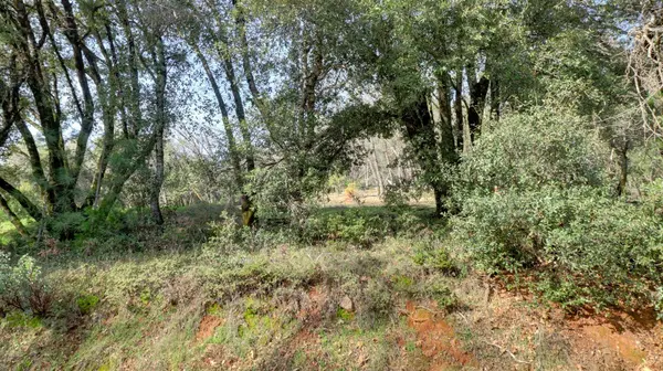 16202 Annie DR, Grass Valley, CA 95949