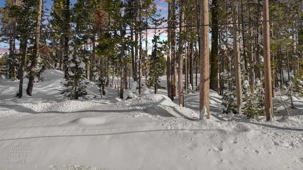 21864 Lotta Crabtree TER, Soda Springs, CA 95728