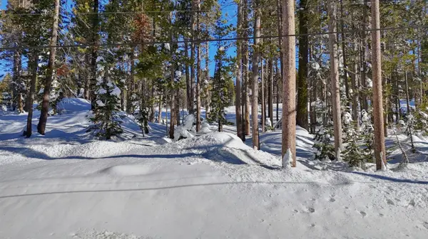 21864 Lotta Crabtree TER, Soda Springs, CA 95728