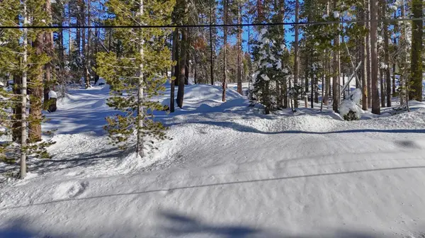 21864 Lotta Crabtree TER, Soda Springs, CA 95728