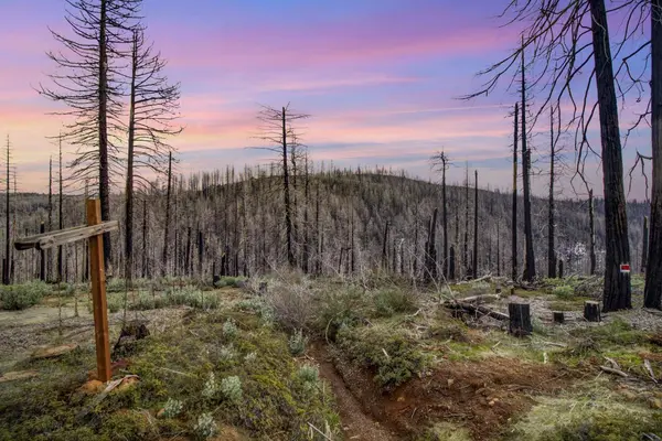 5308 Wooded Glen RD, Grizzly Flats, CA 95636