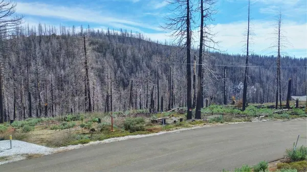 5308 Wooded Glen RD, Grizzly Flats, CA 95636