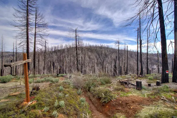 5308 Wooded Glen RD, Grizzly Flats, CA 95636