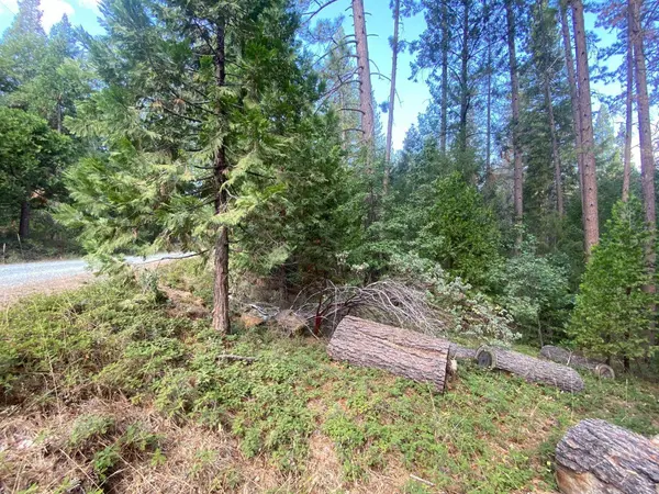 5483 Poor Mans WAY, Wilseyville, CA 95257