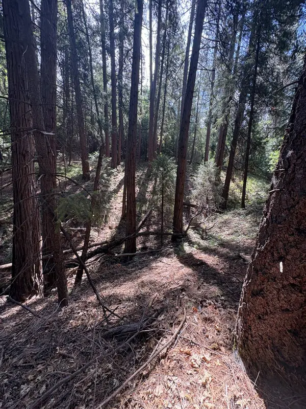 5483 Poor Mans WAY, Wilseyville, CA 95257