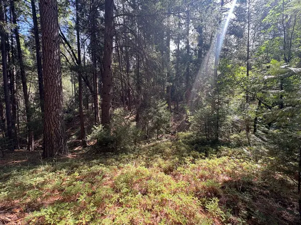 5483 Poor Mans WAY, Wilseyville, CA 95257